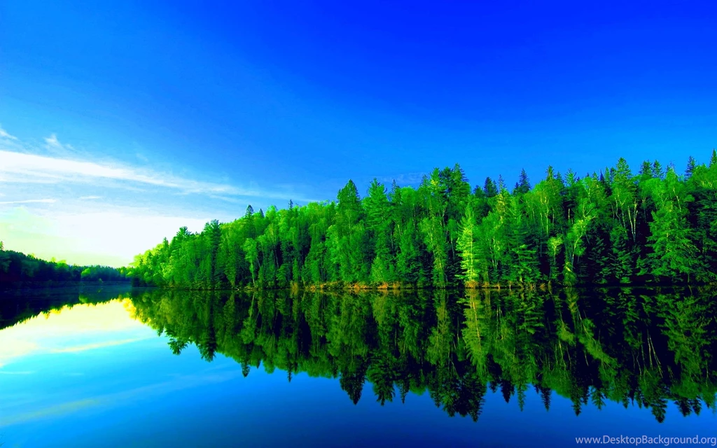 Green Forest Lake.jpg