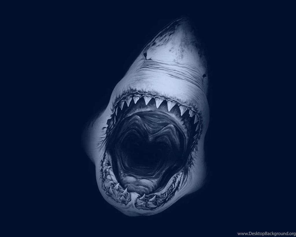 1280x1024 Great White Shark Desktop PC And Mac Wallpapers