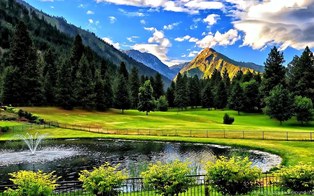 Beautiful Small Pond Near The Green Forest Wallpapers