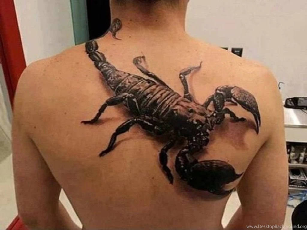 Cool Scorpion Back Tattoos 2 free hd wallpapers.jpg