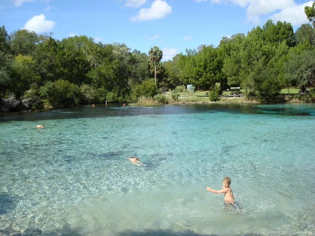 Silver Glen Springs Blue Water Blue Sky Pictures