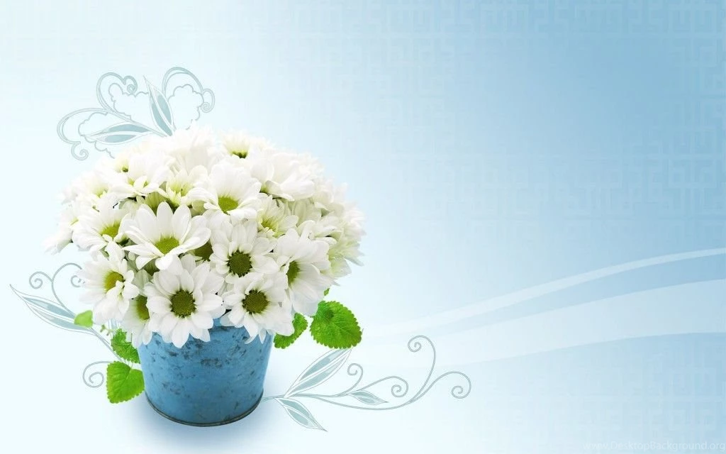 Home Free Wide HD Wallpapers