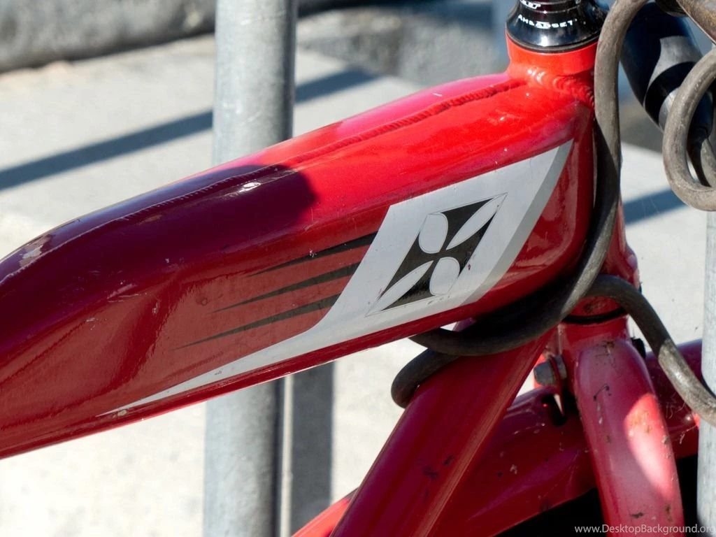 Saturday Photoblogging