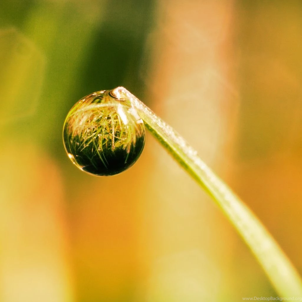 Free iPad 3 HD Wallpapers Retina Desktop Backgrounds Apple 2048 ...