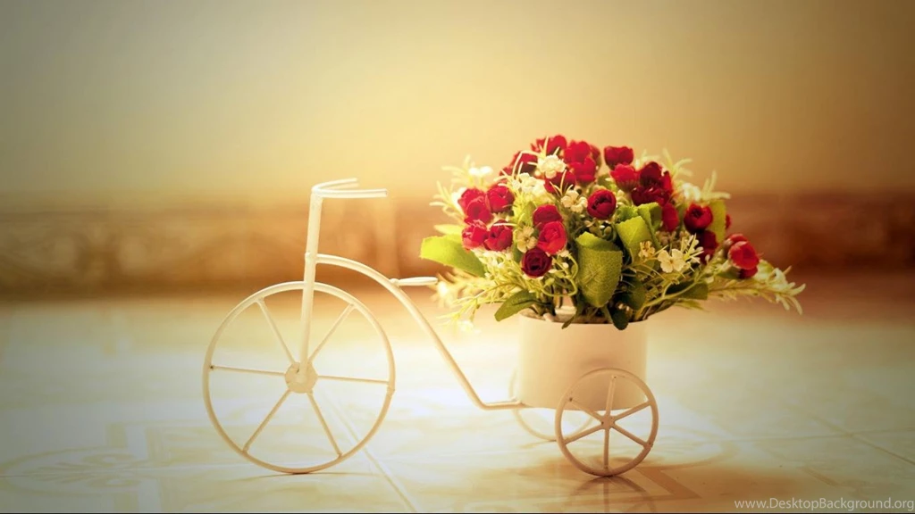 Romantic,roses,bicycle Widescreen Desktop Wallpapers 1366x768 Hd ...