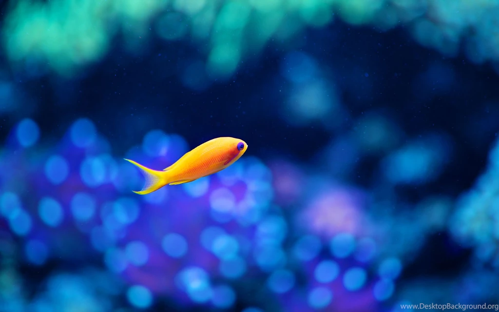 InterfaceLIFT: 2880x1800 Wallpapers Sorted By Date