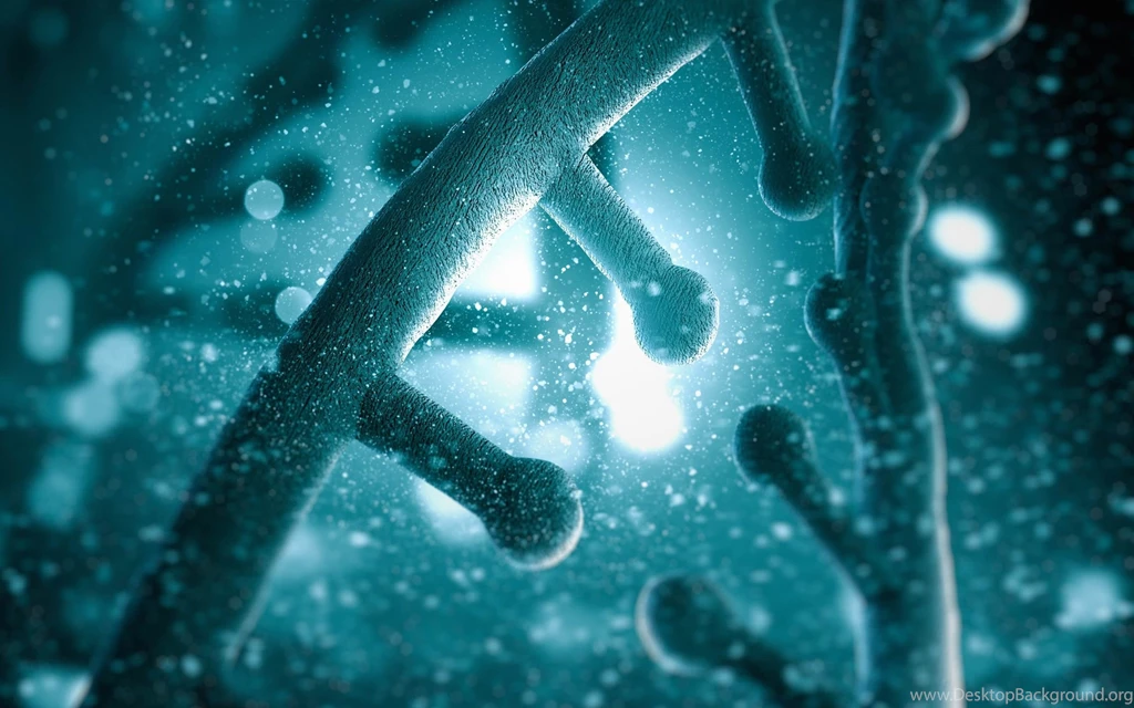 Download DNA Molecular Model HD Wallpapers For 2880 X 1800 ...
