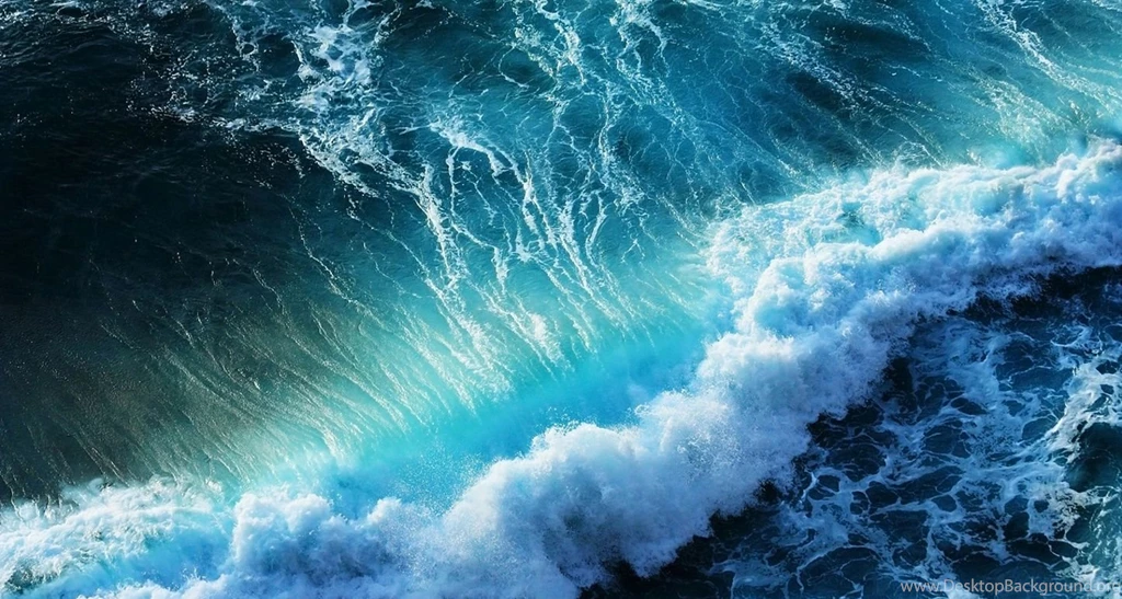 Hd Nature Images, Organic, Plants, Fresh Air, Widescreen ...