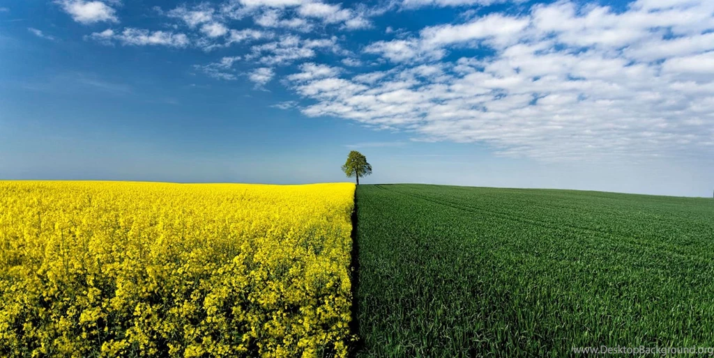 Hd Nature Images, Plants, Fresh Air, Widescreen Wallpapers ...