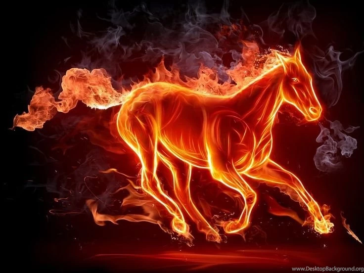 Denver Broncos Wallpaper Fiery Horse