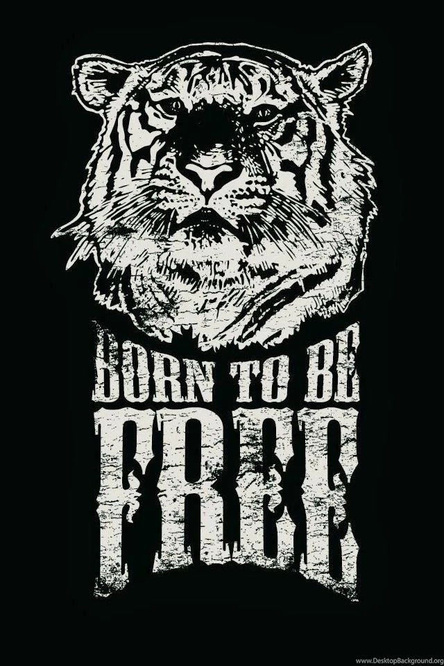 Born To Be Free Tiger Illustration iPhone 4s Wallpapers Download ...
