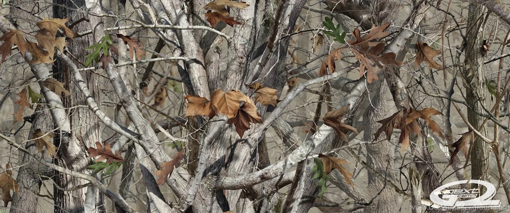 The Free Photoshop Thread [Read Rules On The 1st Post]   Page 548 ...