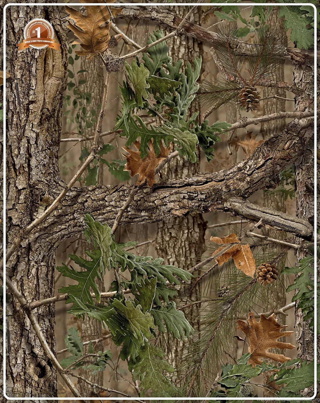 Hunting Camo Patterns, Best Camo For Turkey Hunting