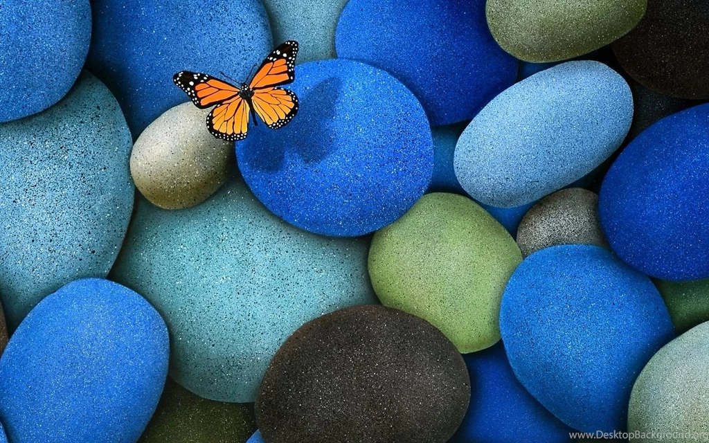 Lonely Butterfly Mac Wallpapers Download