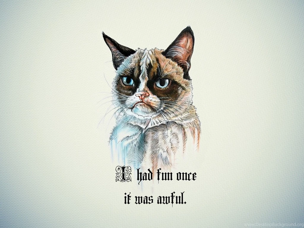 Grumpy cat wallpaper funny wallpapers pictures