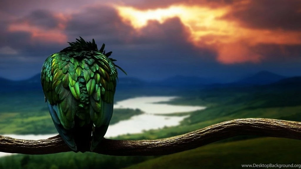 Download Animal Wallpapers Free HD 1366×768 Size