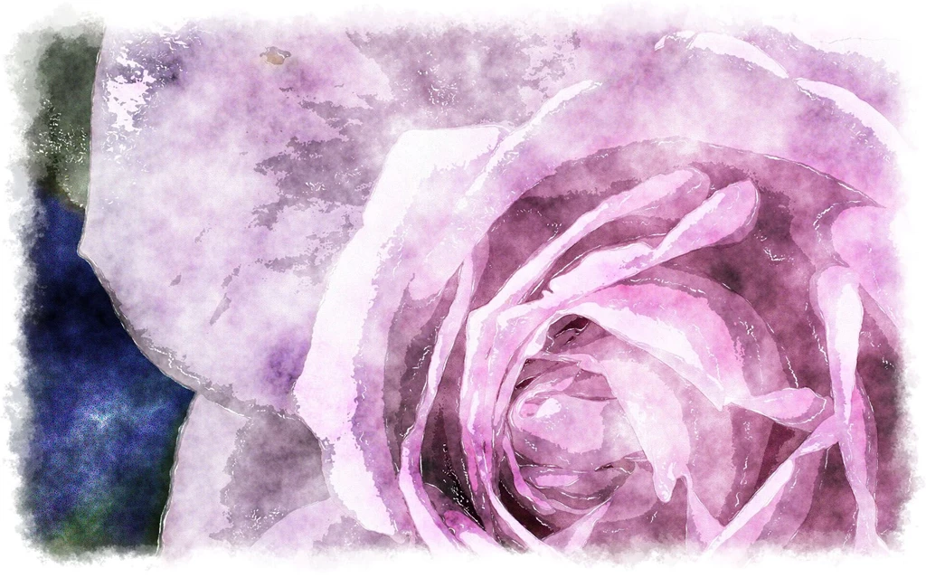 Watercolor Roses, Watercolor Painting Of Beautiful Rose A ...