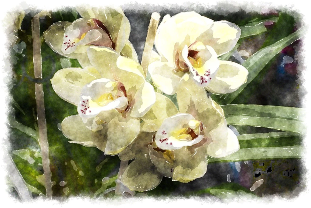 Watercolor Orchids, Watercolor Paintings Of Beautiful Orchids ...