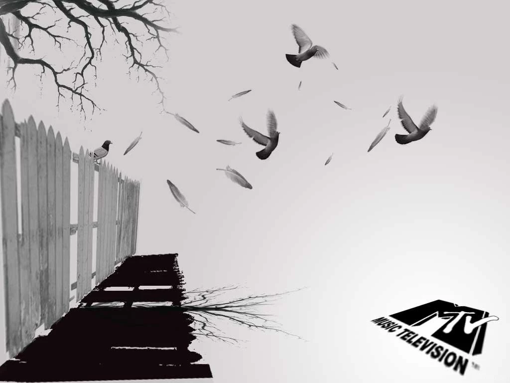 MTV Wallpapers 10 By MTVmusictelevisionTr On DeviantArt