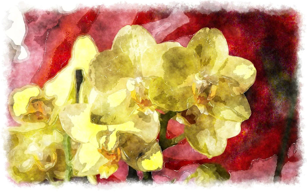 Watercolor Orchids, Watercolor Paintings Of Beautiful Orchids ...