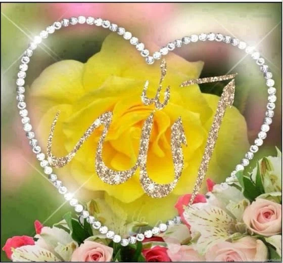 Beautiful Allah Name Wallpapers » Salamyou Muslim Social Network