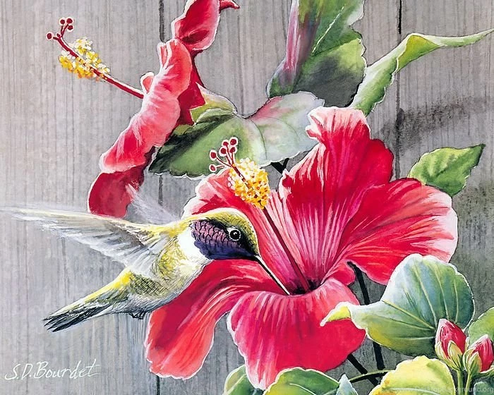 Songbirds In Garden Watercolor Paintings Of Cute Little Birds ...
