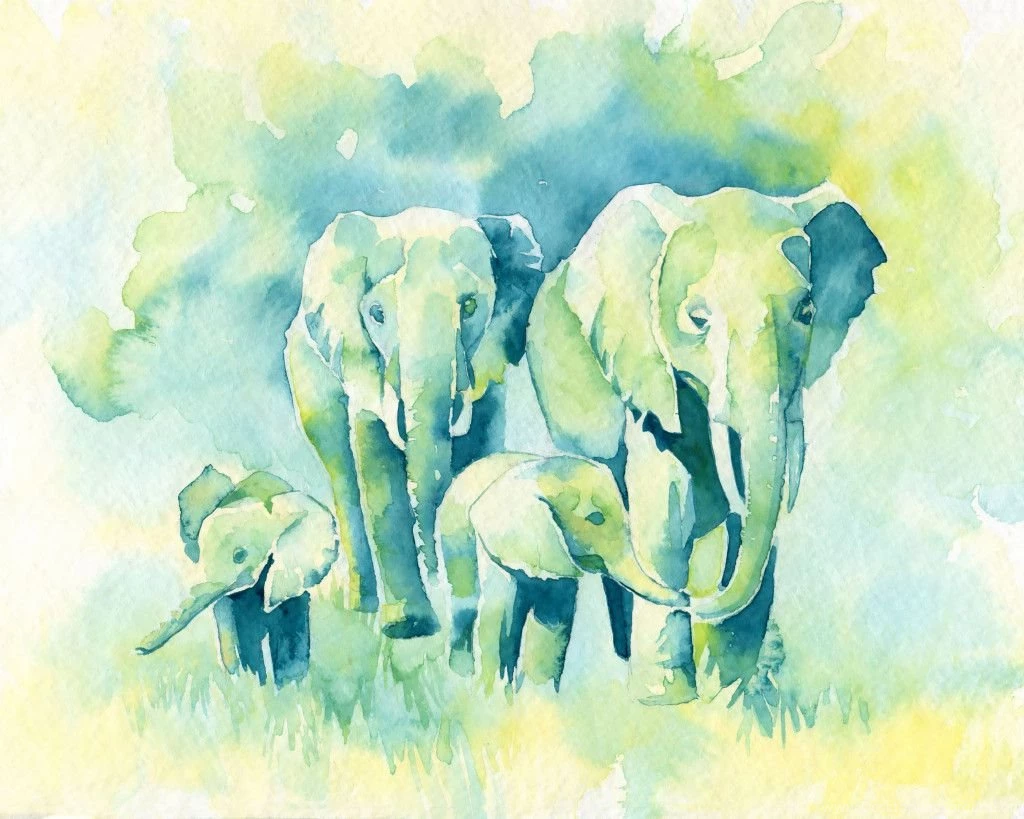Watercolor Paintings By Katrina Pete