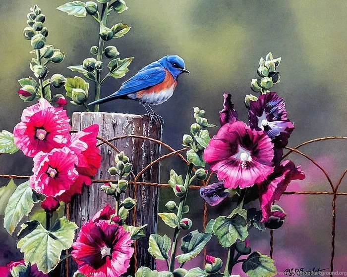 Bluebird In Garden   SongBirds Watercolor Paintings < FileIndex ...