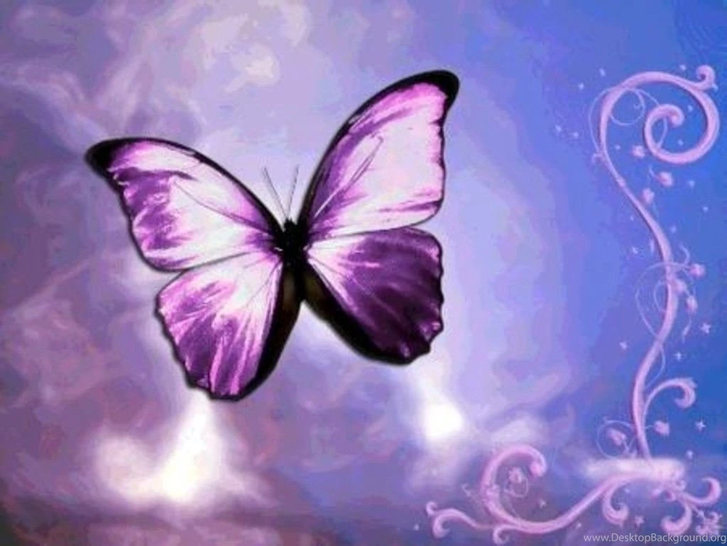 Cute Butterfly Images Desktop Backgrounds
