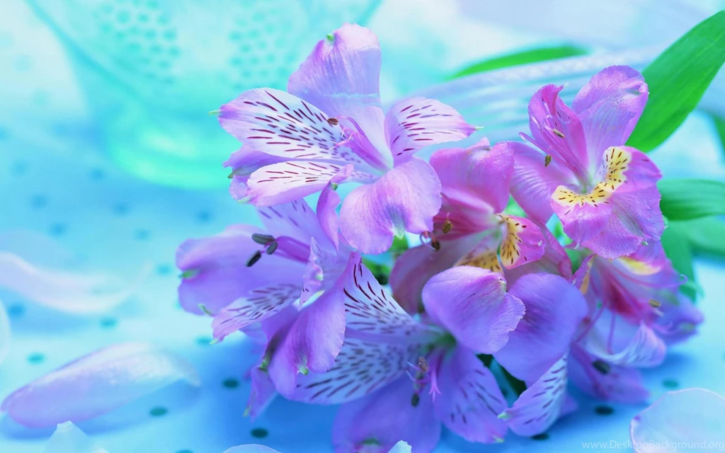 Purple Flower.jpg