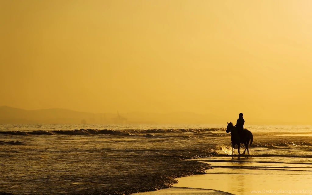 Sea Beaches Horse Sky Yellow Landscapes Nature Earth Alone Lonely ...