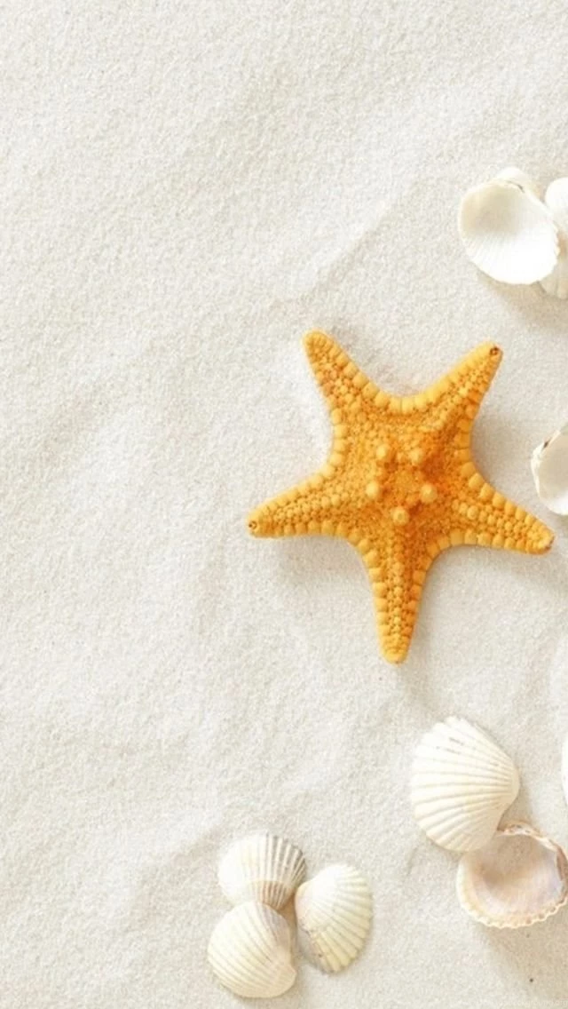 Pure Seaside Beach Starfish Seashell