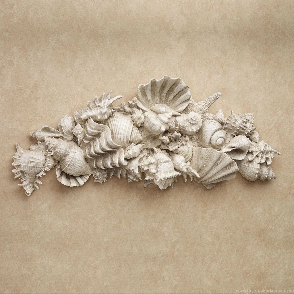 Seashell Melange Coastal Wall Topper