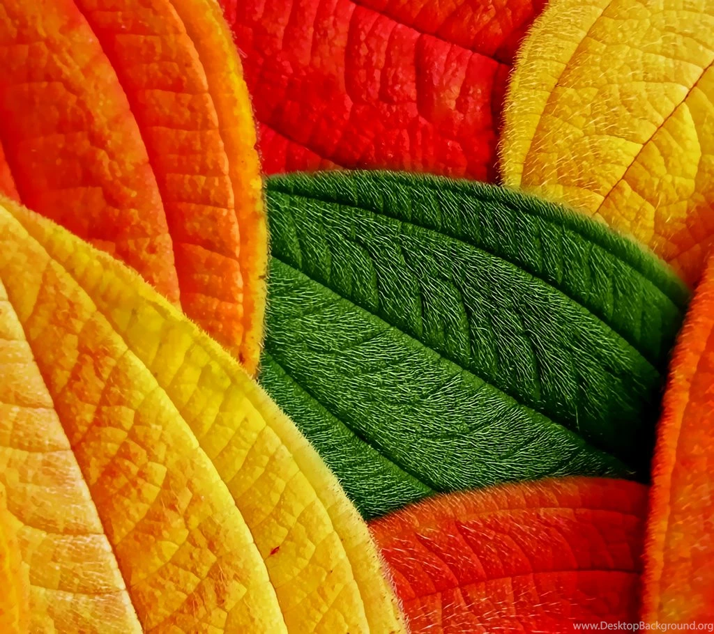 WOW: HD Wallpapers For Motorola