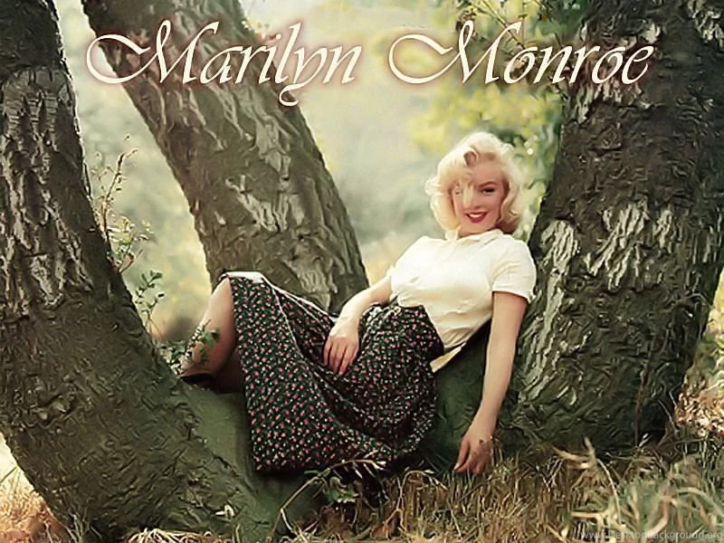 Marilyn Monroe : Wallpapers Album. Marilyn Monroe Photos On ...