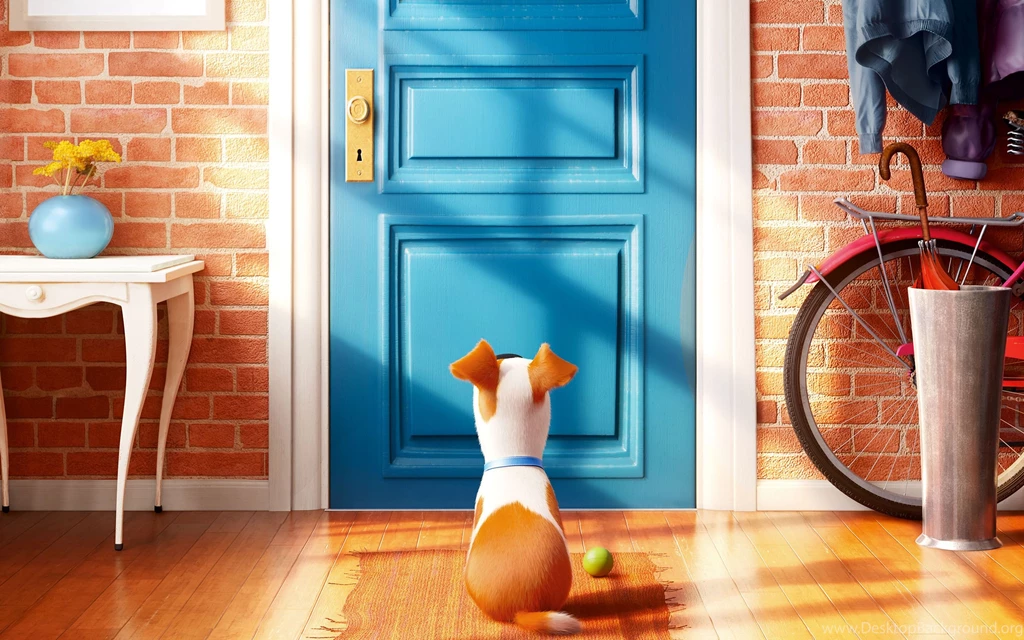 1 The Secret Life Of Pets HD Wallpapers