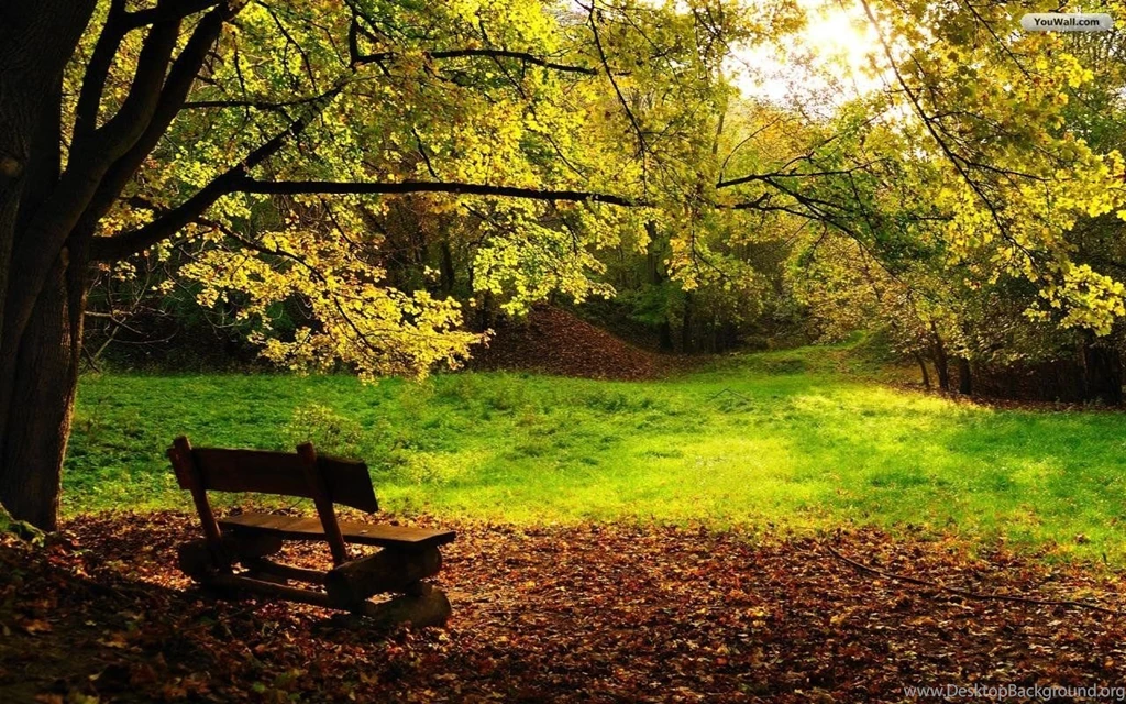 Peaceful Place Wallpapers 58719