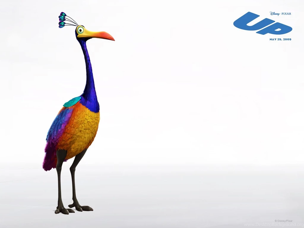 Up Computer Wallpapers, Desktop Backgrounds