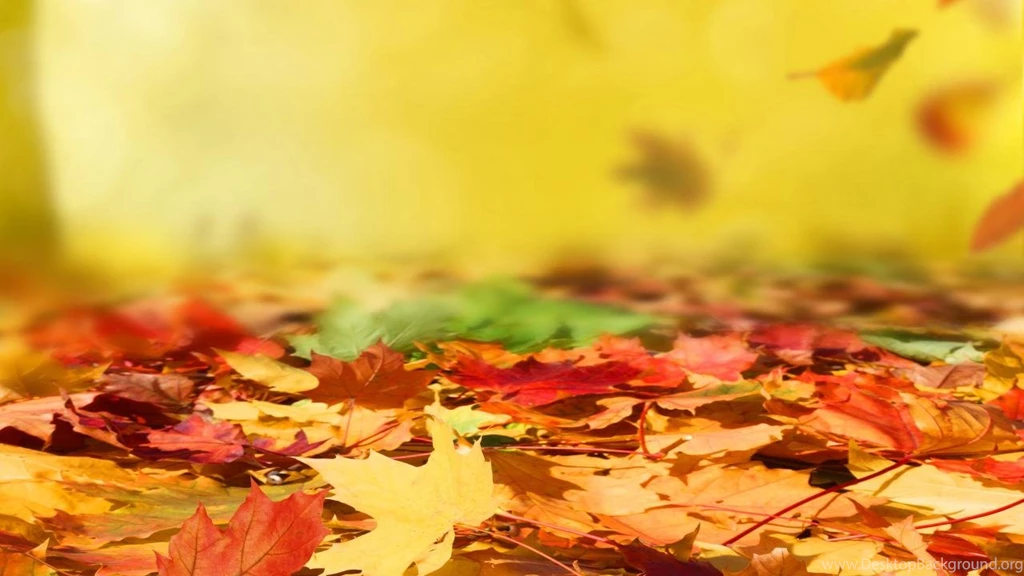 Download Autumn Leafs Live Wallpapers For Android, Autumn Leafs ...