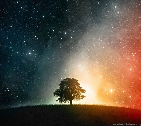Wallpapers For Mobile Phone : Mobile Ringtones, Wallpapers