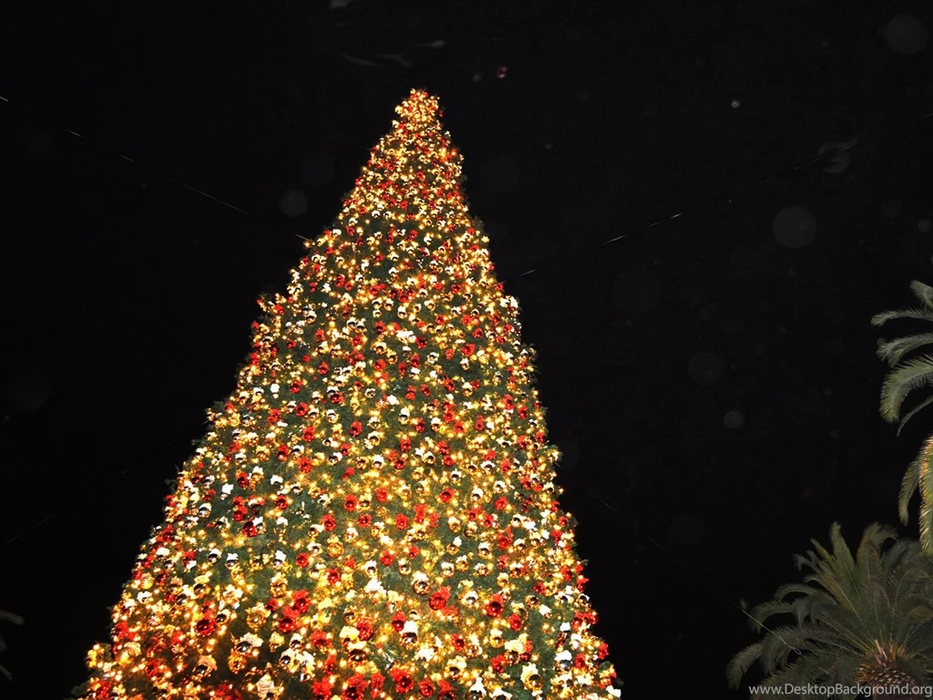 Pretty Christmas Pictures HD Wallpapers And Pictures