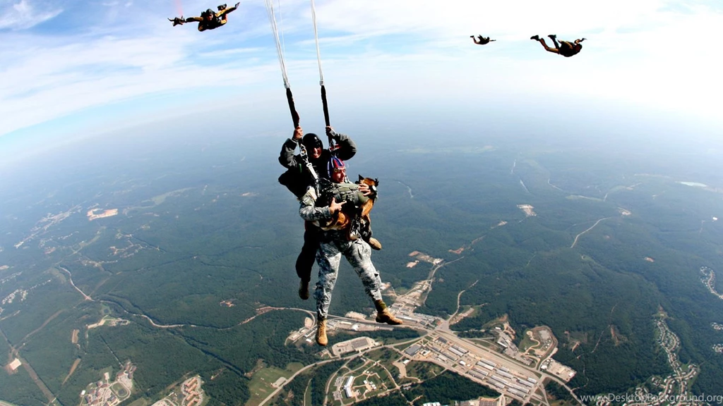 Panzer And US Army Veteran Brad Schwarz » GE Investigations Blog