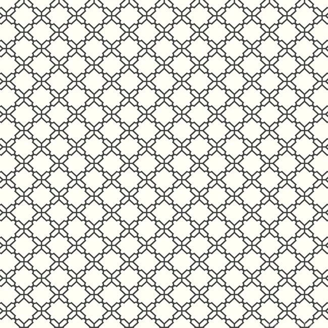 AB2156 Black & White Geometric Trellis Wallpapers By York