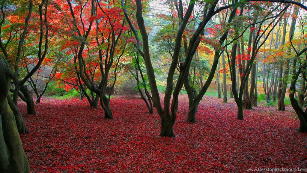 United Kingdom Wallpapers 446905