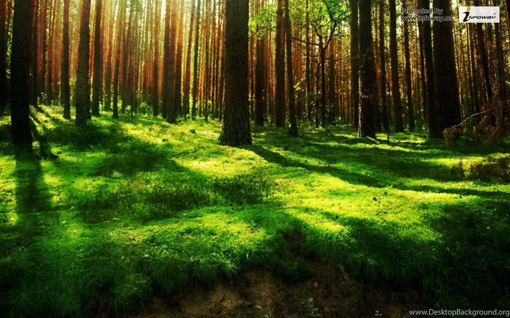 Beautiful Nature Scenery Photo 230 Of 342