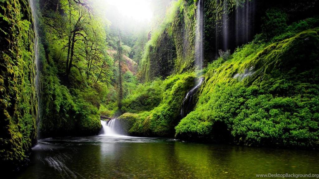 Oregon, River, Water, Waterfalls, Nature, Forest, Woods, Green ...