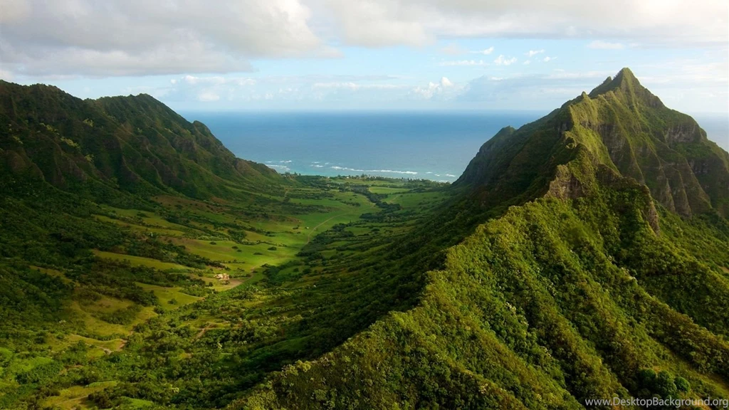 Green Natural Scenery, Trees, Forest, Grass, Mountains, Sea, Sky ...