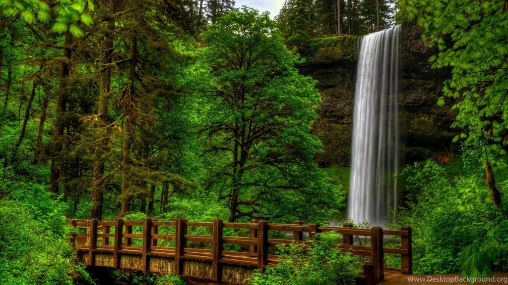 Nature View Trees Forest Park Bridge Waterfall Water Landscape ...