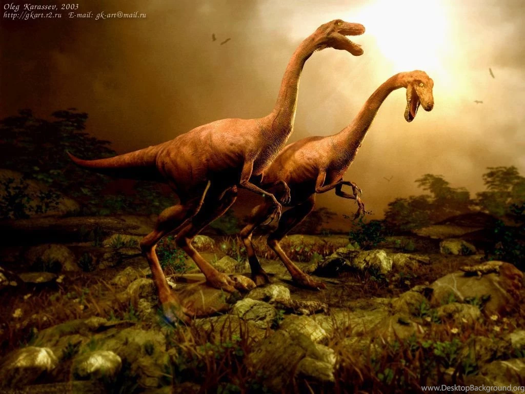 Jurassic Park Wallpapers And Backgrounds