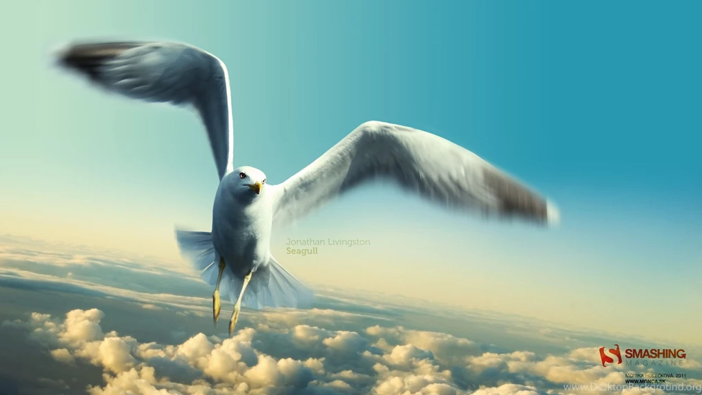 Jonathan Livingston Seagull Wallpapers